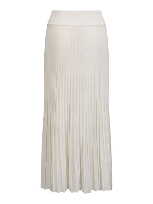 Biba Ray Skirt 2